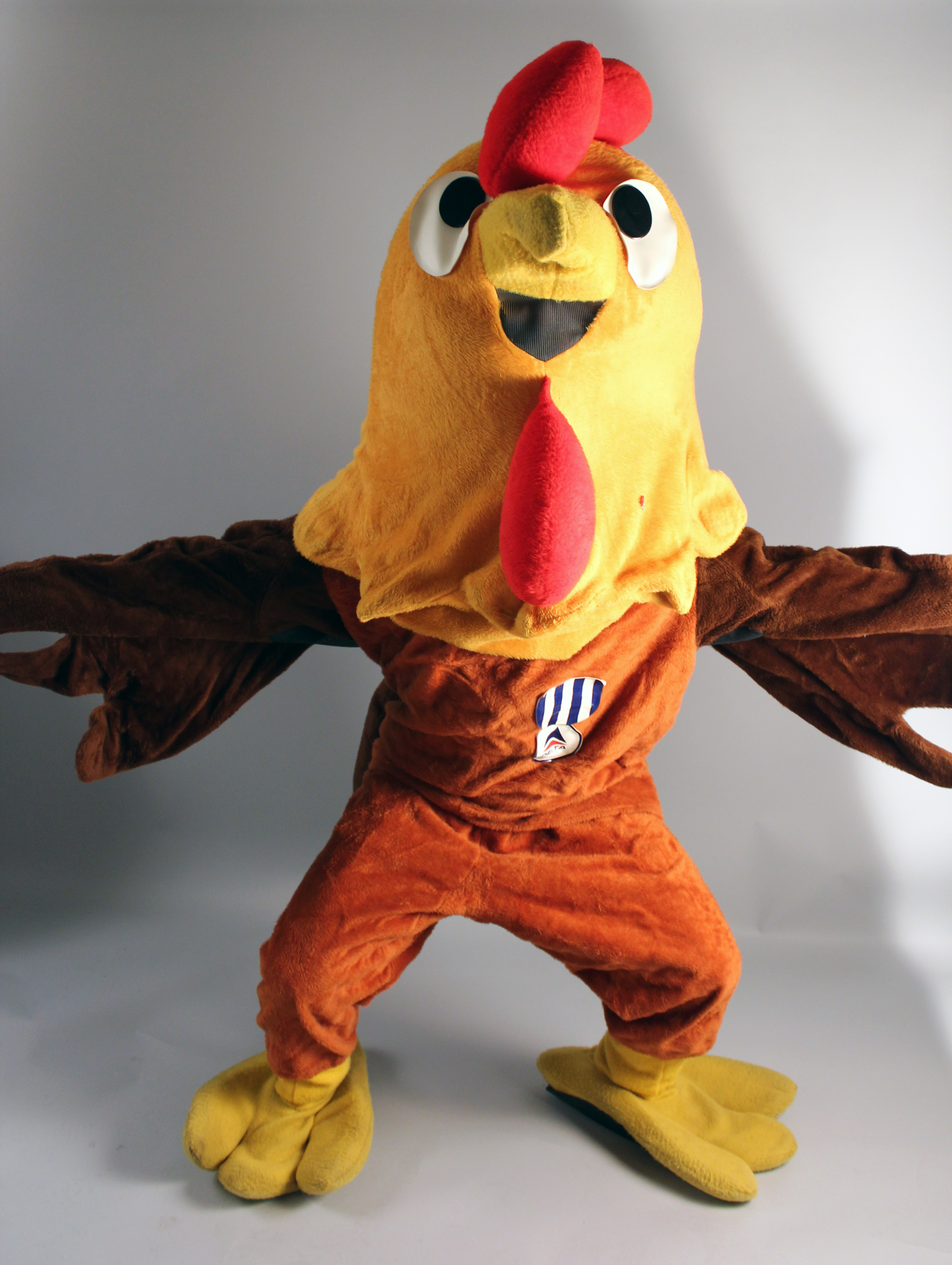 1995.364.1 Early Bird (4)